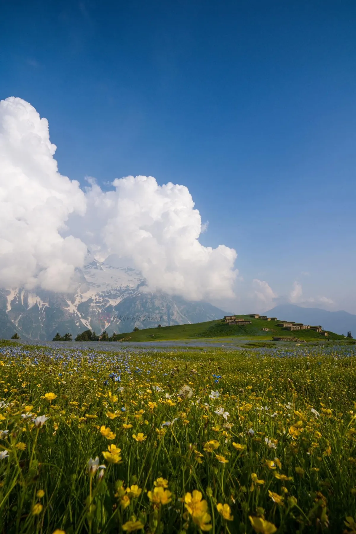 A wildflower meadow in Swat, snow peaks behind clouds in the distance.